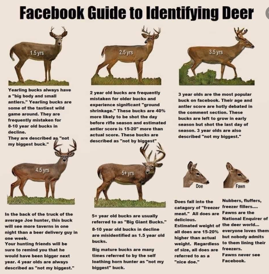 Facebook guide to identifying deer | Michigan Sportsman Forum