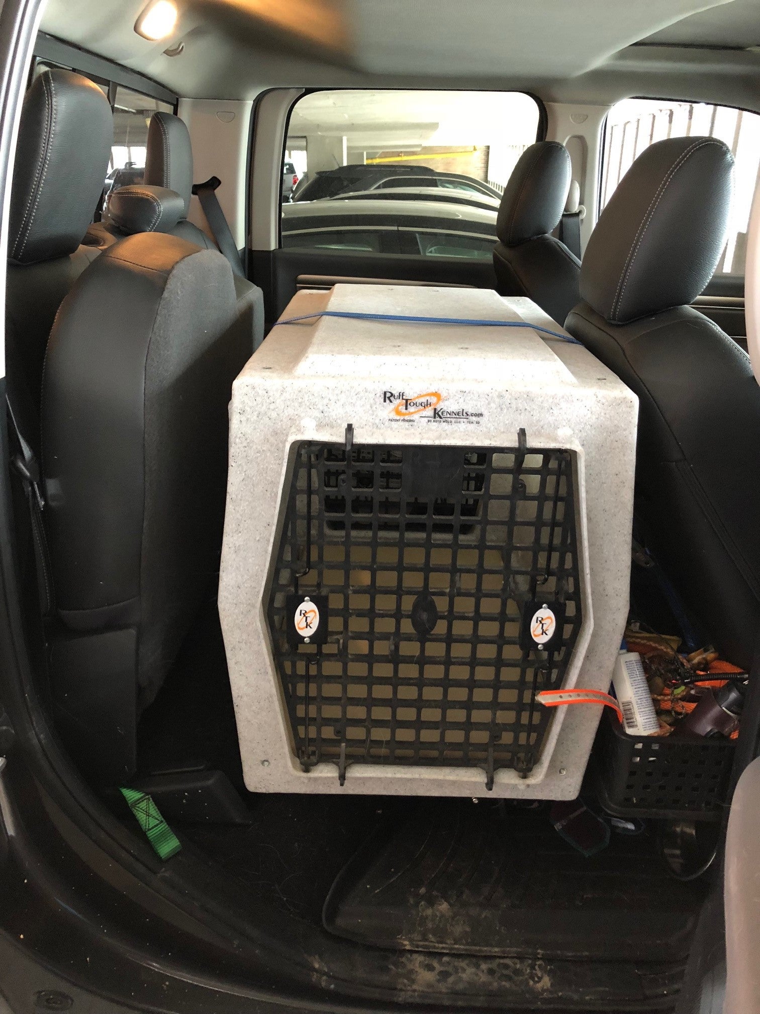 back seat dog crate
